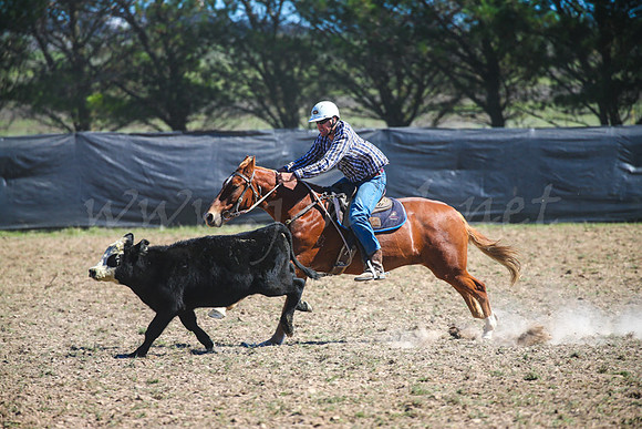 GoulburnCampdraft2017-0624