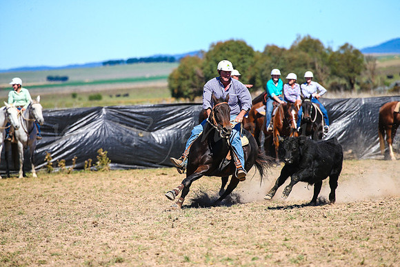 GoulburnCampdraft2017-0362