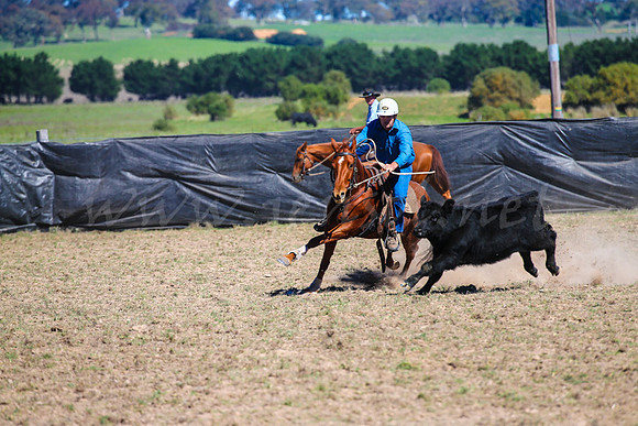 GoulburnCampdraft2017-0495