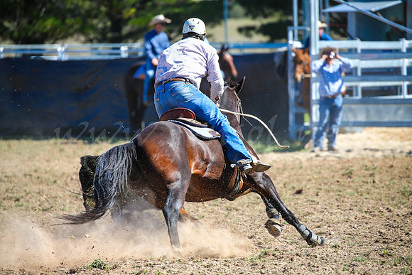 GoulburnCampdraft2017-0544