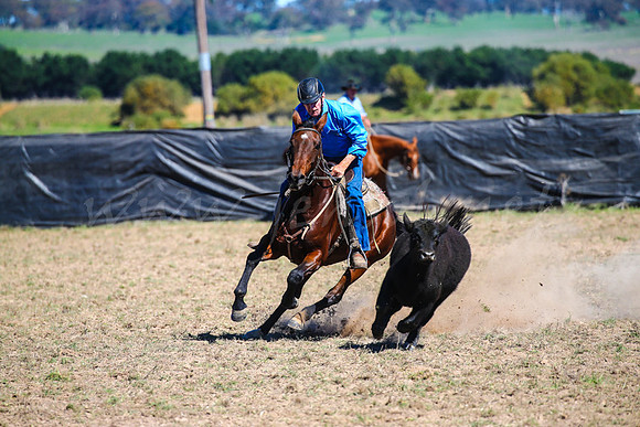 GoulburnCampdraft2017-0464