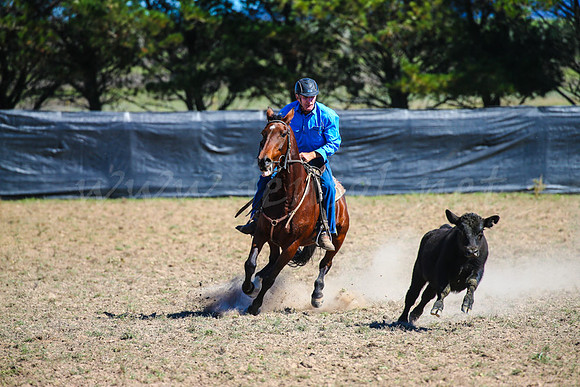 GoulburnCampdraft2017-0451