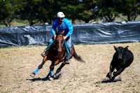GoulburnCampdraft2017-0211