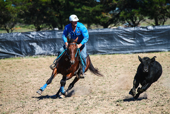 GoulburnCampdraft2017-0211