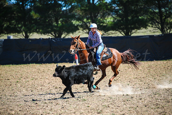 GoulburnCampdraft2017-0598