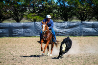 GoulburnCampdraft2017-0229