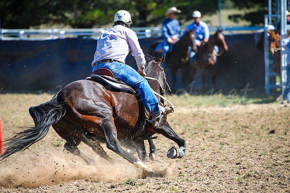 GoulburnCampdraft2017-0536
