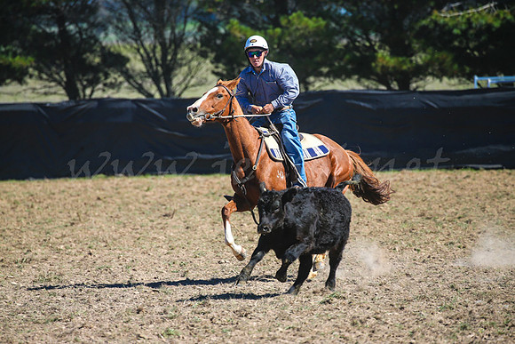 GoulburnCampdraft2017-0413