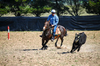 GoulburnCampdraft2017-0271