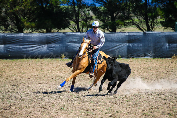 GoulburnCampdraft2017-0514