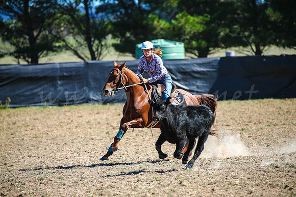 GoulburnCampdraft2017-0600