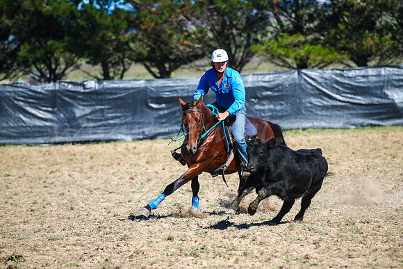 GoulburnCampdraft2017-0206
