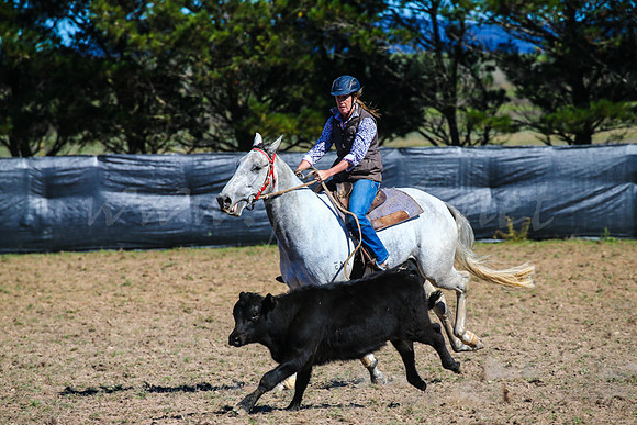 GoulburnCampdraft2017-0260