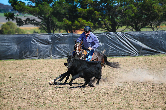 GoulburnCampdraft2017-0374