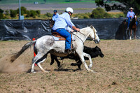 GoulburnCampdraft2017-0314