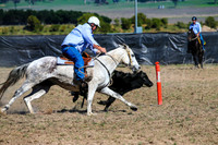 GoulburnCampdraft2017-0312