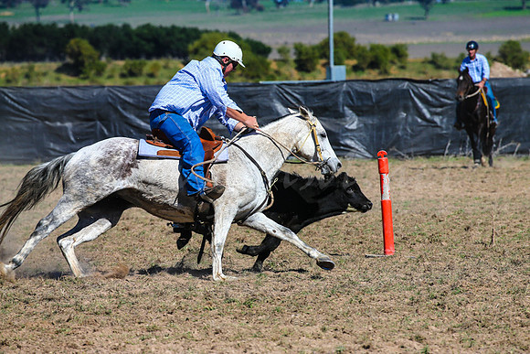 GoulburnCampdraft2017-0312