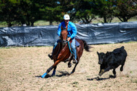 GoulburnCampdraft2017-0208