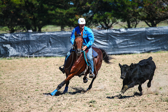 GoulburnCampdraft2017-0208
