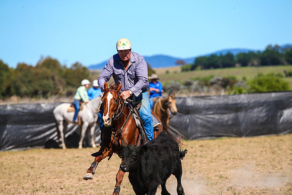GoulburnCampdraft2017-0402