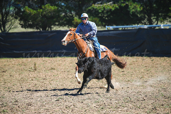 GoulburnCampdraft2017-0415