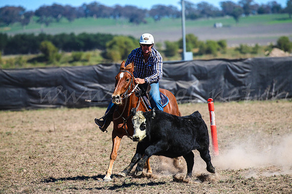 GoulburnCampdraft2017-0635