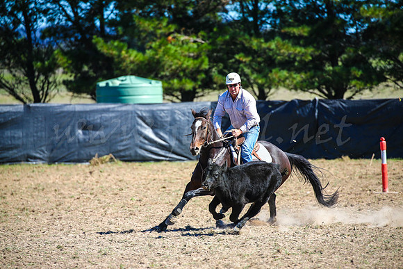 GoulburnCampdraft2017-0525