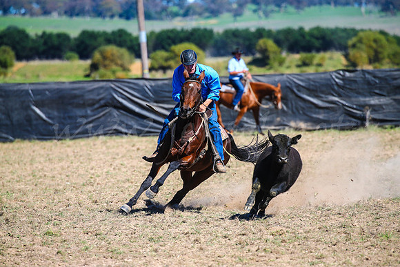 GoulburnCampdraft2017-0466