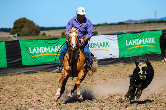 GoulburnCampdraft2017-0328