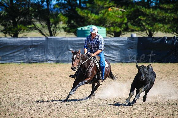 GoulburnCampdraft2017-0420