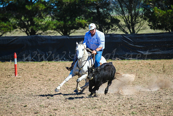 GoulburnCampdraft2017-0291