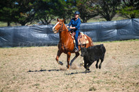 GoulburnCampdraft2017-0237
