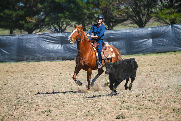 GoulburnCampdraft2017-0237