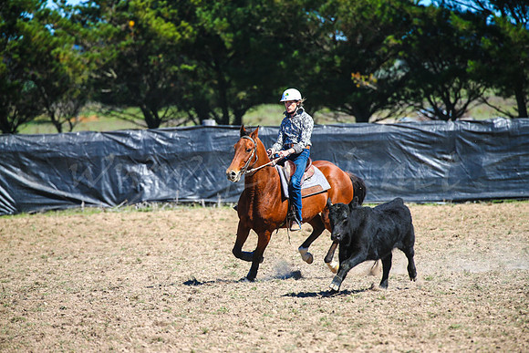 GoulburnCampdraft2017-0444