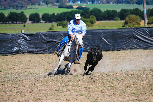 GoulburnCampdraft2017-0303