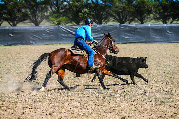 GoulburnCampdraft2017-0470