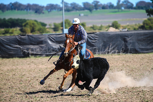 GoulburnCampdraft2017-0631