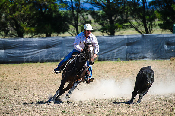 GoulburnCampdraft2017-0539