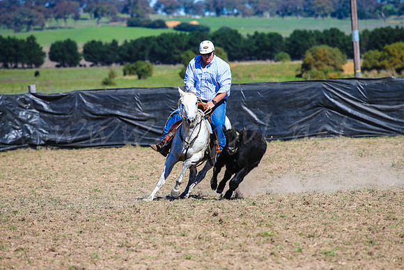 GoulburnCampdraft2017-0307