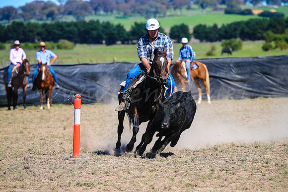 GoulburnCampdraft2017-0432