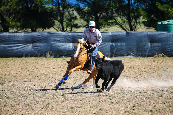 GoulburnCampdraft2017-0509