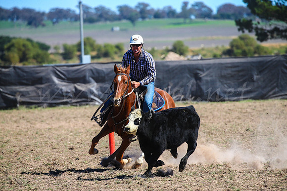 GoulburnCampdraft2017-0632
