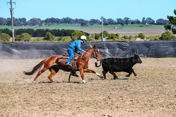 GoulburnCampdraft2017-0498