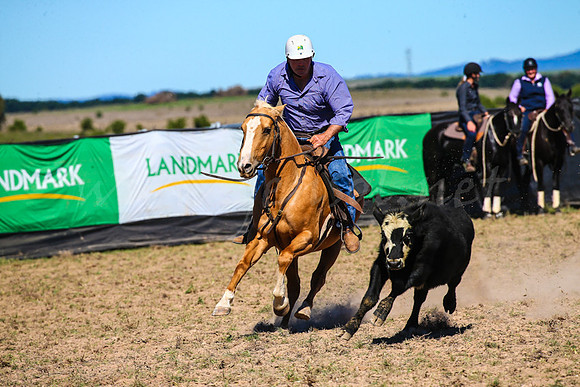 GoulburnCampdraft2017-0332