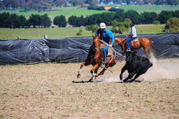 GoulburnCampdraft2017-0491