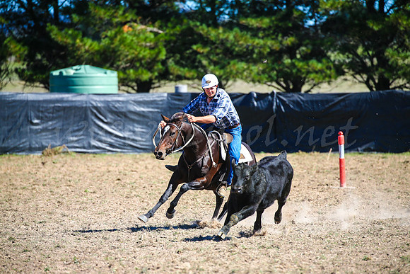 GoulburnCampdraft2017-0425