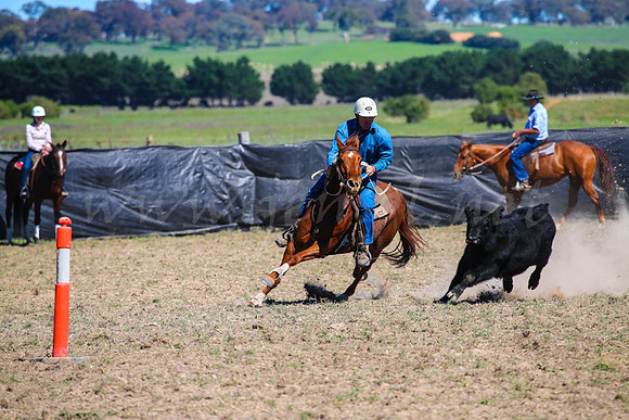 GoulburnCampdraft2017-0489