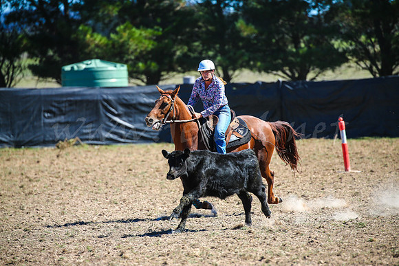 GoulburnCampdraft2017-0606