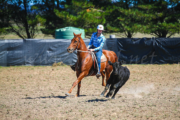GoulburnCampdraft2017-0341