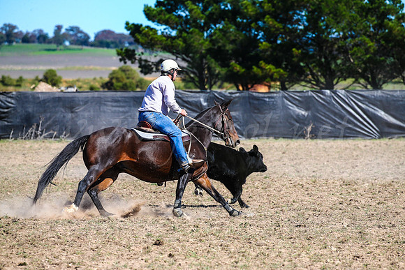 GoulburnCampdraft2017-0576